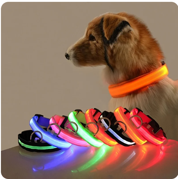 Collar fluorescente luminoso de seguridad nocturna que brilla en la oscuridad