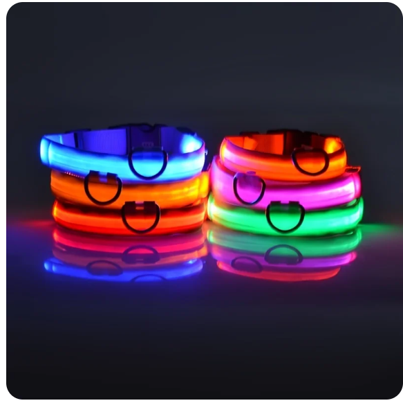 Collar fluorescente luminoso de seguridad nocturna que brilla en la oscuridad - Imagen 3