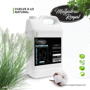 CHAMPU M.R COLOR EXTREM 500ML mascotamundi