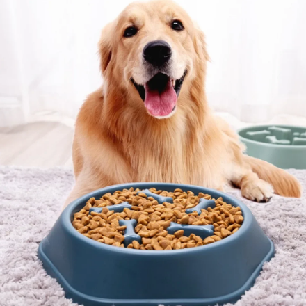 Plato alimentador lento para prevenir la obesidad